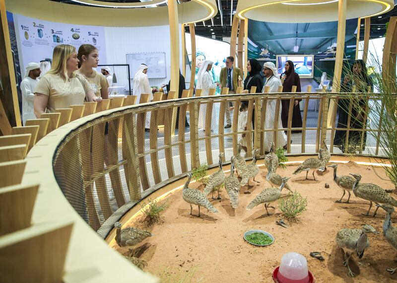 International Fund for Houbara Conservation display area. Victor Besa / The National