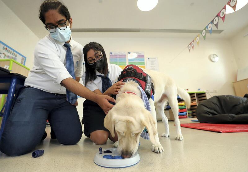 Dubai, United Arab Emirates - Reporter: Anam Rizvi. News. Education. Lotus is 4-year-old retriever and a emotional support animal at Gems Metropole School. Lotus with students Avichal aged 18 and Shanessa aged 17. Monday, January 4th, 2021. Dubai. Chris Whiteoak / The National