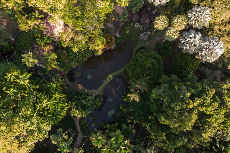 Aerial View of Roberto Burle Marx’s former home in Rio de Janeiro, Brazil, which was elected as a World Heritage Site by Unesco.