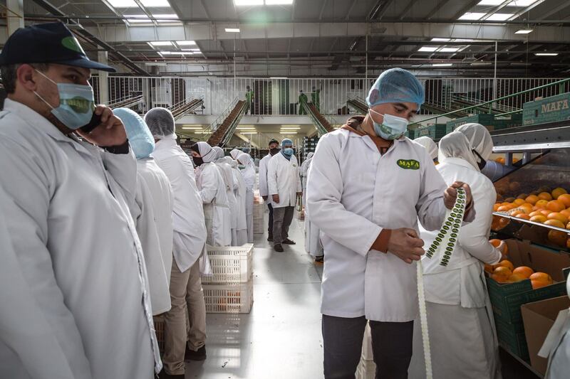 Mafa exports its oranges to 58 countries. Getty Images