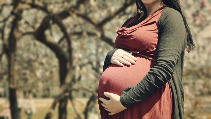 Modern diets mean some pregnant women are missing key nutrients, a study has found. Photo: University of Southampton