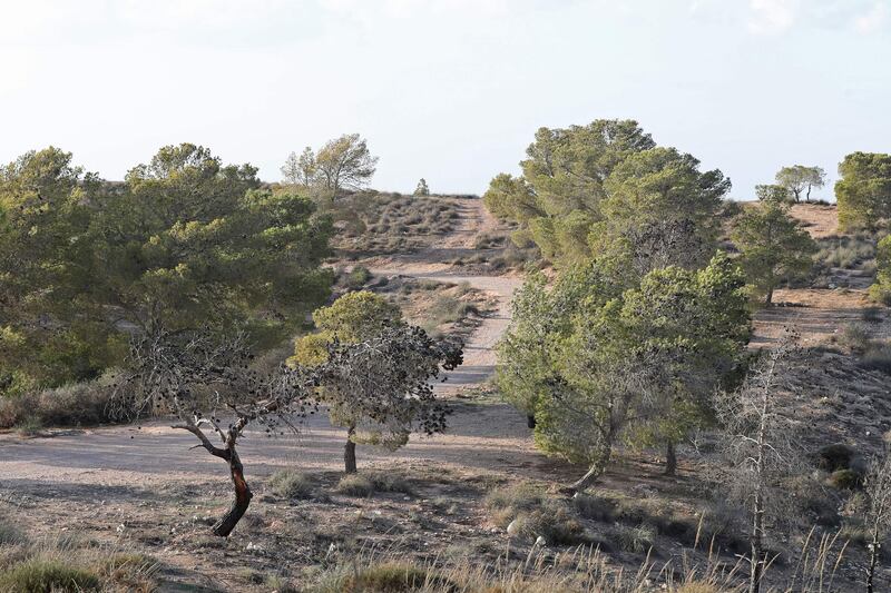 The 83,060-hectare biosphere reserve is home to about 350 plant species and has long been a sanctuary for rare or endangered species.