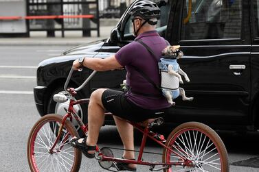 A man is seen cycling in London with a dog on his back, following the outbreak of the coronavirus, London, UK, June 9. Toby Melville / Reuters