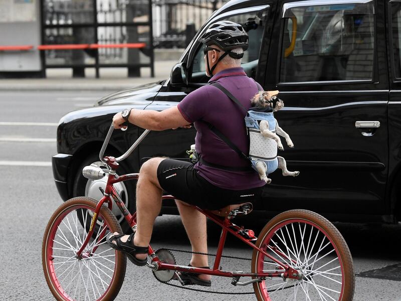 A man is seen cycling in London with a dog on his back, following the outbreak of the coronavirus disease (COVID-19), London, Britain, June 9, 2020. REUTERS/Toby Melville