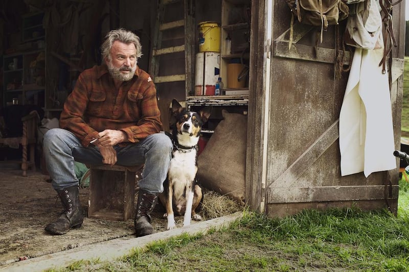 Sam Neill works with both animals and children in his new film Hunt for the Wilderpeople. Courtesy: Front Row Filmed Entertainment
