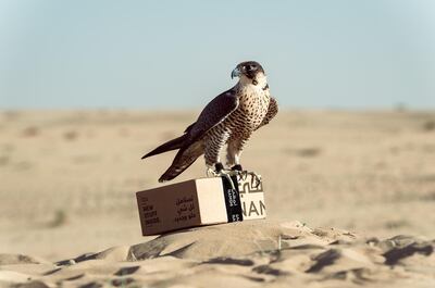 Namshi have already announced that the falcon delivery service is an April Fool's prank. Courtesy Namshi 