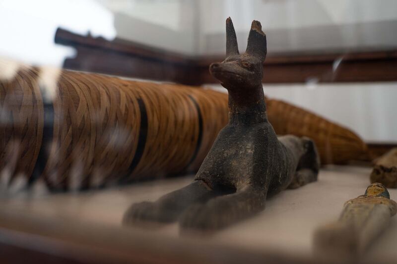 New findings at the Saqqara necropolis