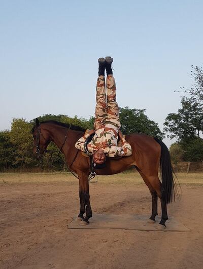 The Indo-Tibetan Border Police's dog and horse yoga. Photo: Twitter/ITBP_official