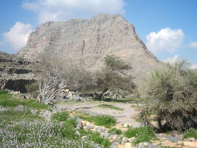 Treks in Oman range from beginner's trails to multi-day advanced hikes. Courtesy of Six Senses