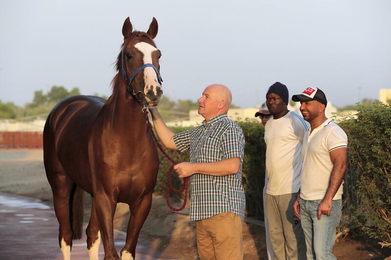AL AIN , UNITED ARAB EMIRATES , OCT 4   ��� 2017 :- Danny Murphy , Irish trainer ( center ) and Ali Farooq , Emirati racing manager ( right ) with the horse Rostam at the Farooq racing stables at the Al Ain Equestrian Club in Al Ain.  ( Pawan Singh / The National ) Story by Amith Passela