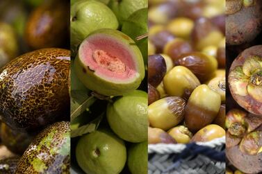 From left to right: dosakai, guava, dates, mangosteen. Getty Images, AFP