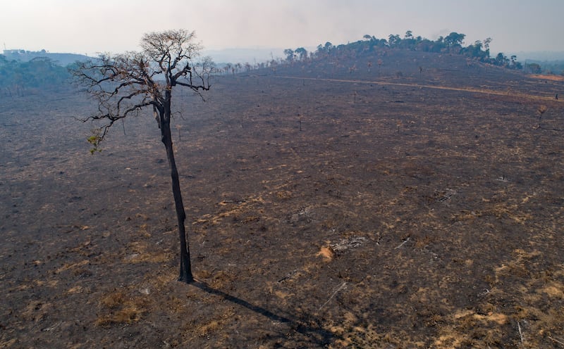 Almost half of Brazil’s carbon emissions comes from deforestation. AP