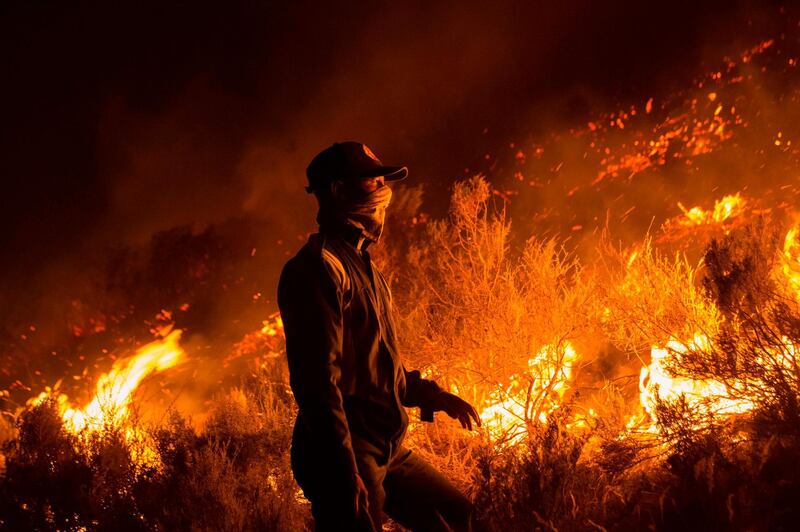 Volunteers and local residents use wet towels to fight one front of a large brush fire that started around the mountains in the city centre on January 27, 2019, in Cape Town.  AFP