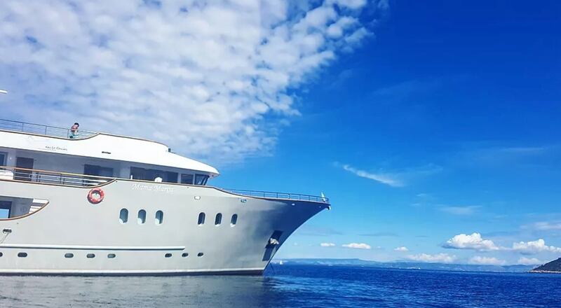 Vegan vacations are set to soar in 2022, such as plant-based cruises with Vegan Travel. Photo: Instagram / @vegantravel