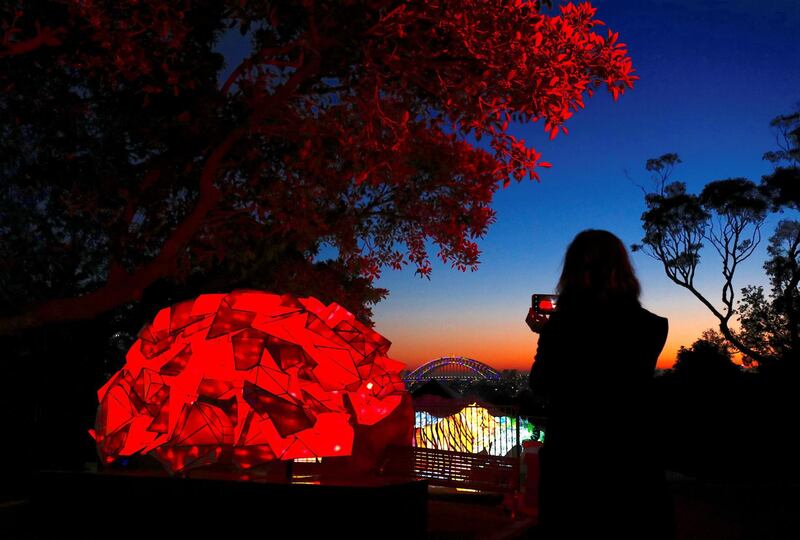 A woman uses her iPhone to take photographs of illuminated sculptures shaped as animals during a preview of Vivid Sydney, promoted as the world’s largest festival of light, music and ideas, at Sydney's Taronga Zoo in Australia. David Gray / Reuters
