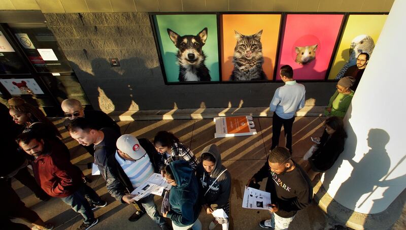 People wait in line in front of an adjacent pet store for a Best Buy store to open for an early Black Friday sale, in Overland Park, Kan. AP Photo