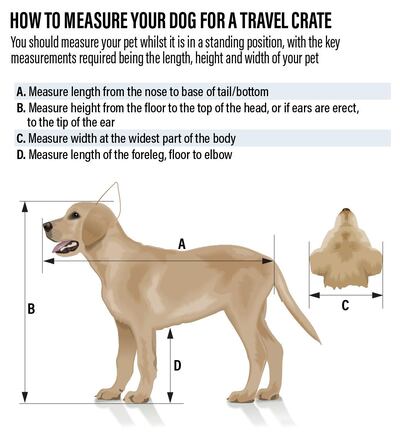 How to measure your pet for a travel crate?
