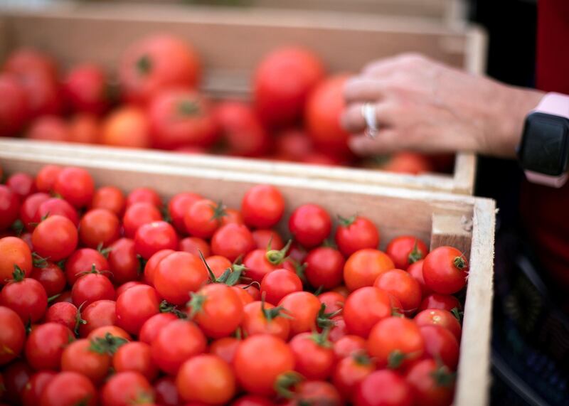 DUBAI, UNITED ARAB EMIRATES.  19 FEBRUARY 2021. 
Farmer's Market at Bay Avenue
Photo: Reem Mohammed / The National
Reporter: Patrick Ryan