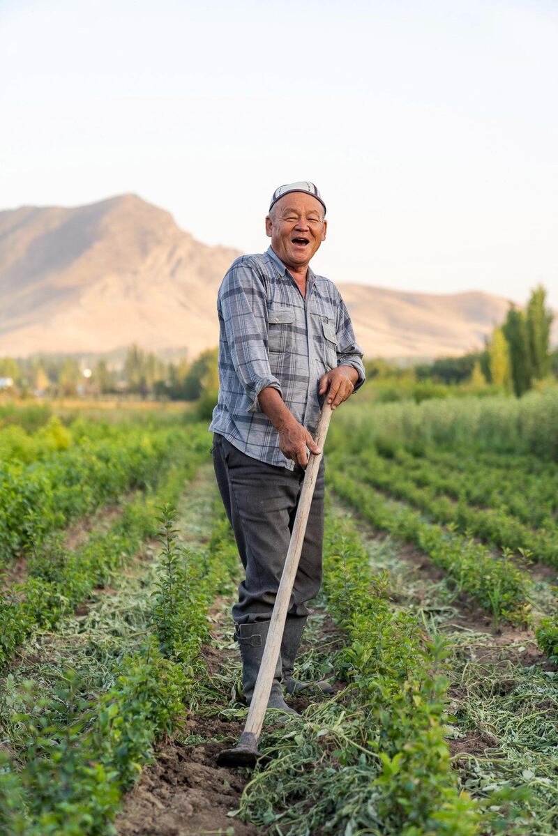Karimkol farms his land, Kyrgyzstan. Photo: Christopher Wilton-Steer and The Aga Khan Development Network