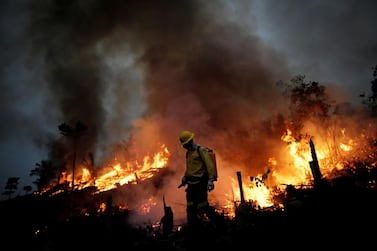 A Brazilian Institute for the Environment and Renewable Natural Resources fire brigade member attempts to control a fire in a tract of the Amazon jungle in Apui, Amazonas State, Brazil, August 11, 2020. Reuters