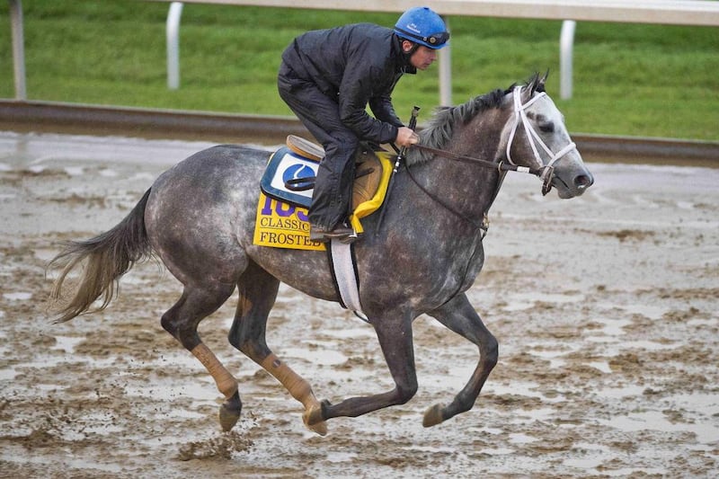  Frosted, trained by Kiaran P. McLaughlin and owned by Godolphin Racing LLC, exercises in preparation for the Breeders' Cup Classic at Keeneland Race Track in Lexington, Kentucky on October 28, 2015. Scott Serio/ESW/CSM (Cal Sport Media via AP Images) 