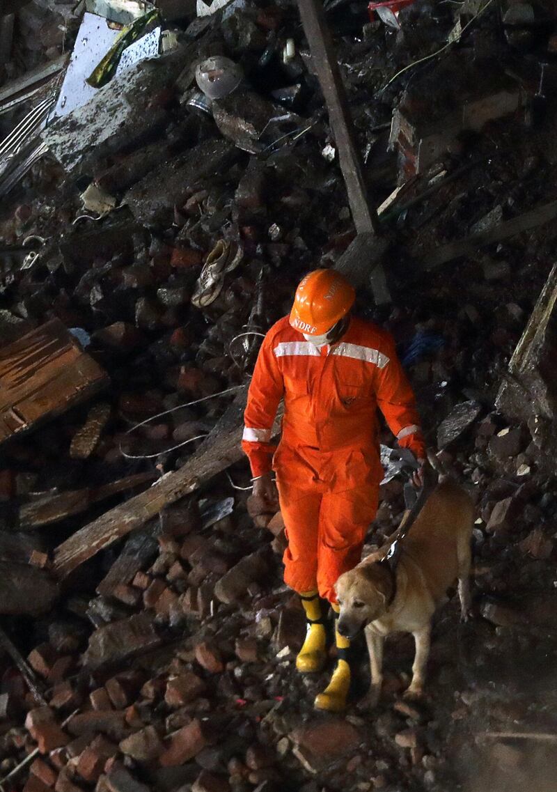A rescuer uses a sniffer dog to look for survivors. Reuters
