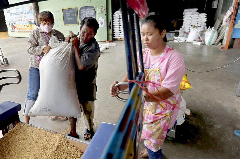 Farmers arrive to sell their harvest in a rice mill in Udon Thani. Prices of Thai 5 per cent broken white rice, a benchmark in Asia, have declined 16 per cent this year to $350 a tonne on September 30. Jorge Silva / Reuters