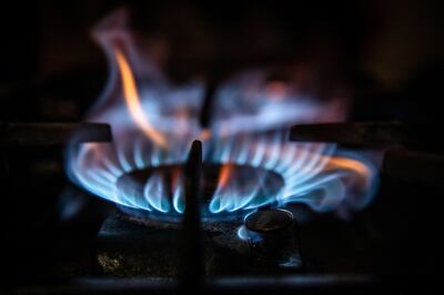 Gas burns on a domestic oven hob. Bloomberg