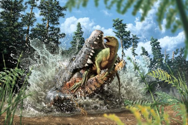 An artist's reconstruction of Confractosuchus devouring a juvenile ornithopod. Illustration: Julius Csotonyi