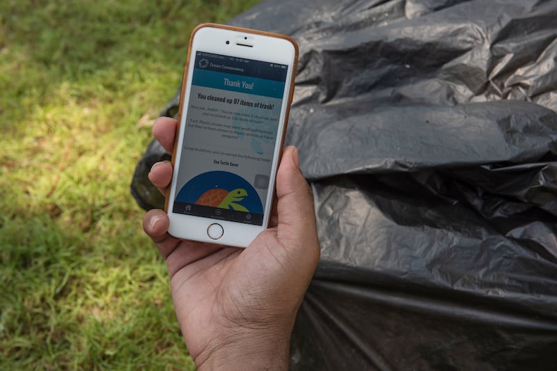 After collecting debris from the mangroves, volunteers use an app to track their progress. 