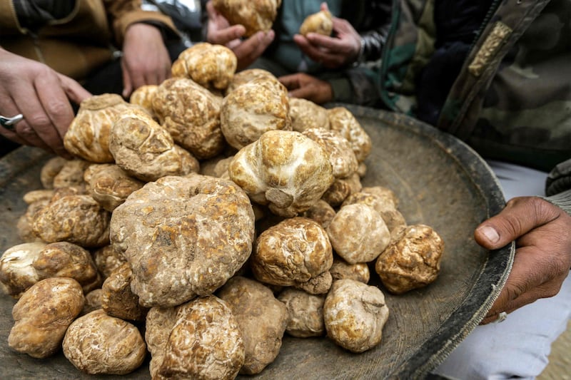 A platter of desert truffles for sale at the Hama market  