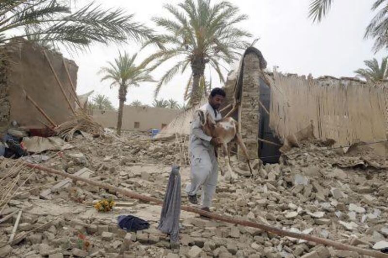 A Pakistani earthquake survivor carries a goat among the rubble of collapsed mud houses in the Mashkail area of the southwestern Baluchistan province.