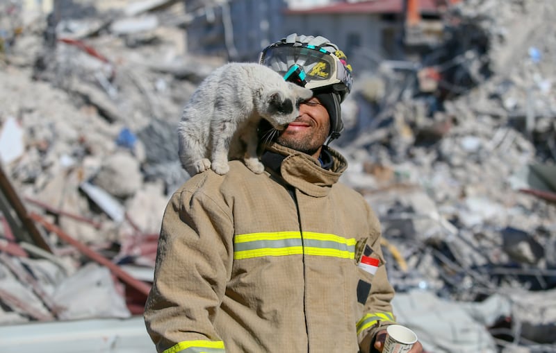 Ali Cakas takes care of Enkaz (meaning ‘rubble), the cat he helped to rescue from debris in Gaziantep after the earthquake in Turkey. All photos: Getty Images