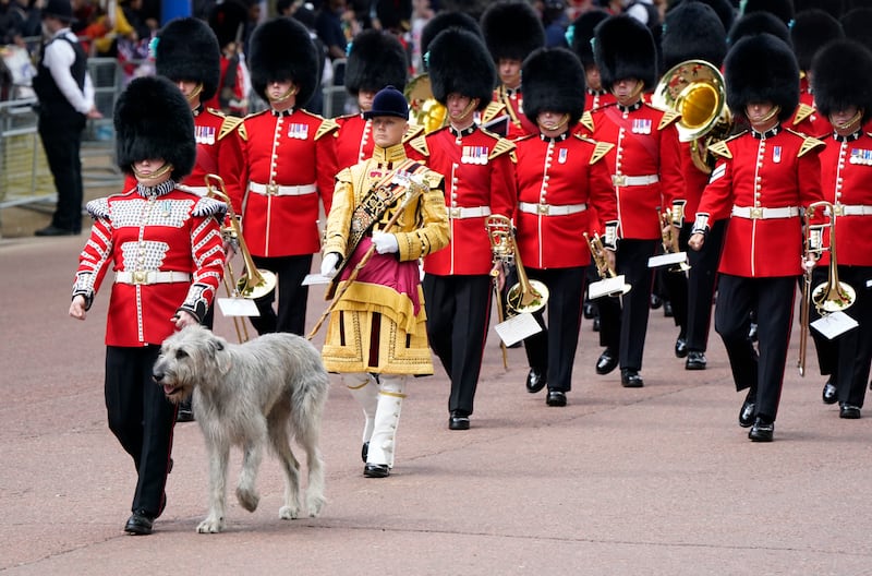 An Irish wolfhound leads as soldiers march along The Mall. AP