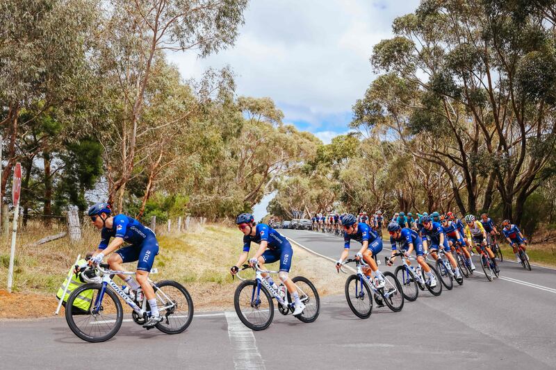 Cyclists take part in the 2024 Men's Elite Cadel Evans Great Ocean Road Race in Geelong, Australia. AFP