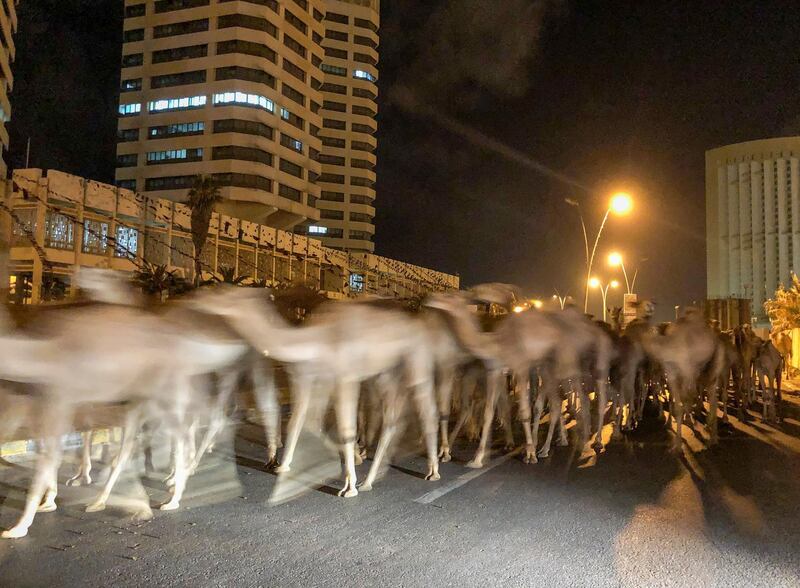 A herd of camels walk across the streets in Tripoli, Libya February 19, 2020. Picture taken February 19, 2020. REUTERS/Ahmed Elumami