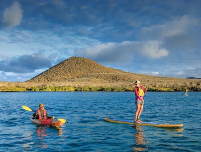 Stand-up paddleboarding will be an option for guests. Photo: Lindblad Expeditions
