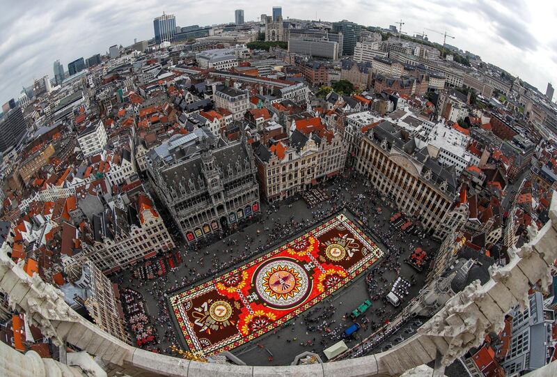 A 1,800 square meters flower carpet on the theme "Guanajuato, cultural pride of Mexico" and made with over 500,000 dahlias and begonias is seen at Brussels' Grand Place, Belgium August 16, 2018. Picture taken with fish eye lens. REUTERS/Yves Herman