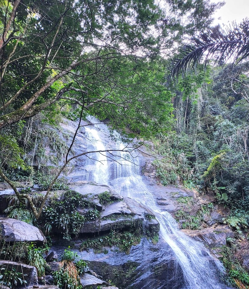 A waterfall in the Tijuca National Park. Photo: Emma Pearson for The National