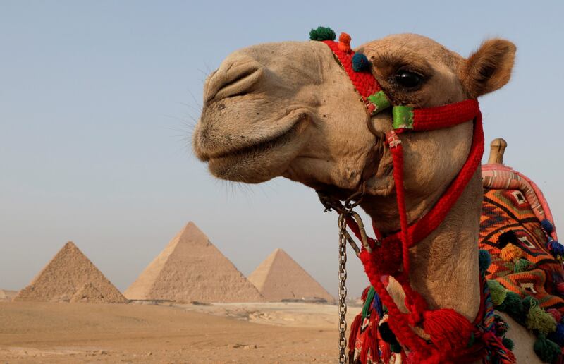 Camel rides are a popular activity at the pyramids. Reuters