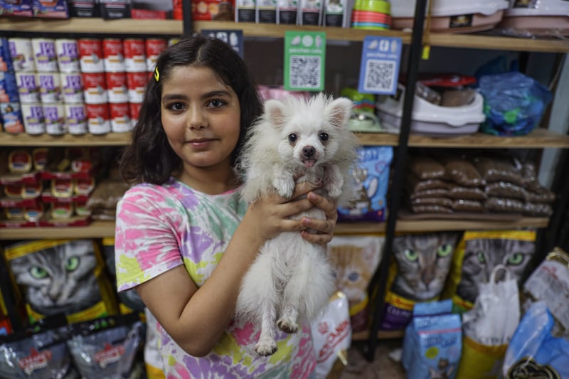 Palestinian Hani Miqdad takes pictures of his daughter Mais with the dog they were buying from a pet shop in Gaza city. Majd Mahmoud / The National
