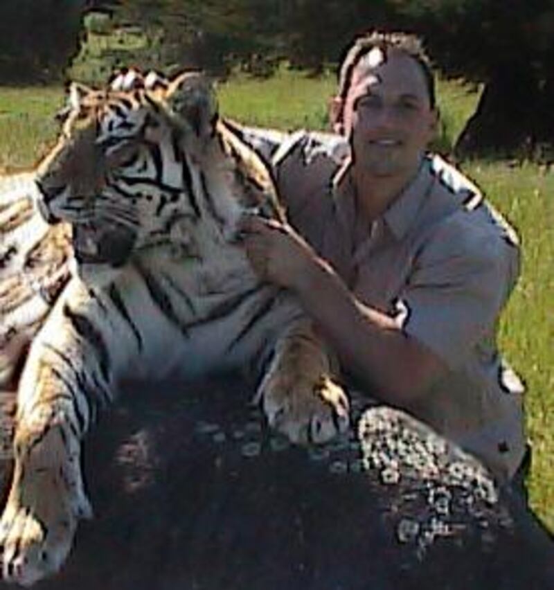 Mr Punton says the methods he developed over 20 years could be used to ready animals for release into the wild by teaching them the hunting skills cubs learn from their mothers.