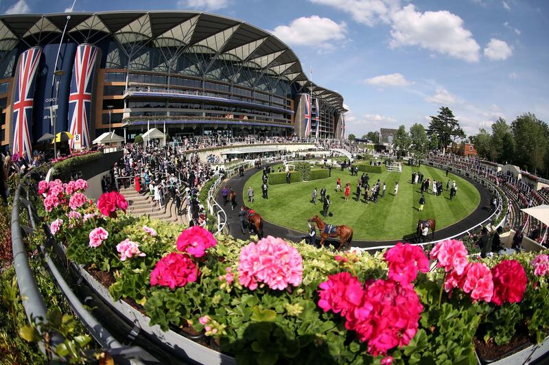 Horses in the parade ring ahead of the King's Stand Stakes during Day 1 of Royal Ascot at Ascot Racecourse in England on Tuesday, June 15. PA