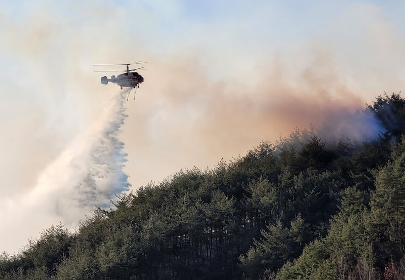 A firefighting helicopter drops water on a burning forest. AFP