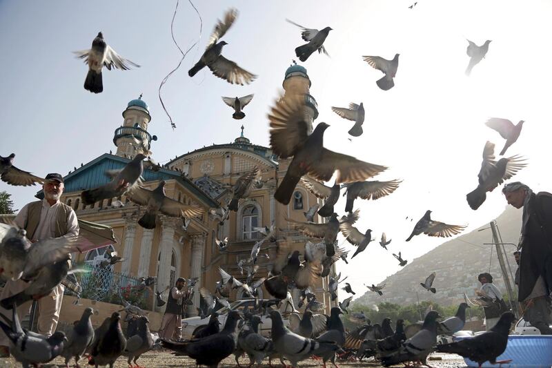 Pigeons fly outside Shah-Do Shamshira Mosque in Kabul, Afghanistan, Tuesday, June 5, 2018. (AP Photo/Rahmat Gul)