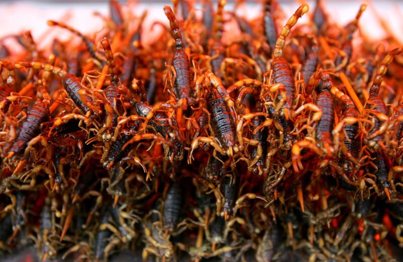 Fried scorpions for sale in China. Getty Images