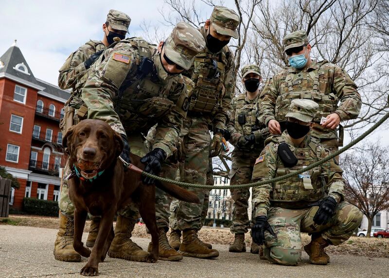 Members of the National Guard greet a dog while they spend time in Lincoln Park. Reuters