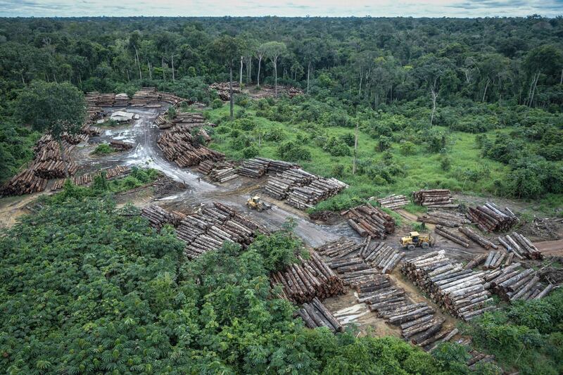 An illegally deforested area of Brazil's rainforest.  AP