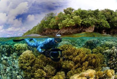An image of Enric Sala from National Geographic Pristine Seas. Photos Manu San Felix / National Geographic