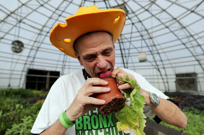 Dubai, United Arab Emirates - March 8th, 2018: Stephen Ritz, American science teacher and founder of the green Bronx machine, a classroom concept that teaches children how to grow food and the benefits of good nutrition. Thursday, March 8th, 2018 at Sustainable City, Dubai. Chris Whiteoak / The National